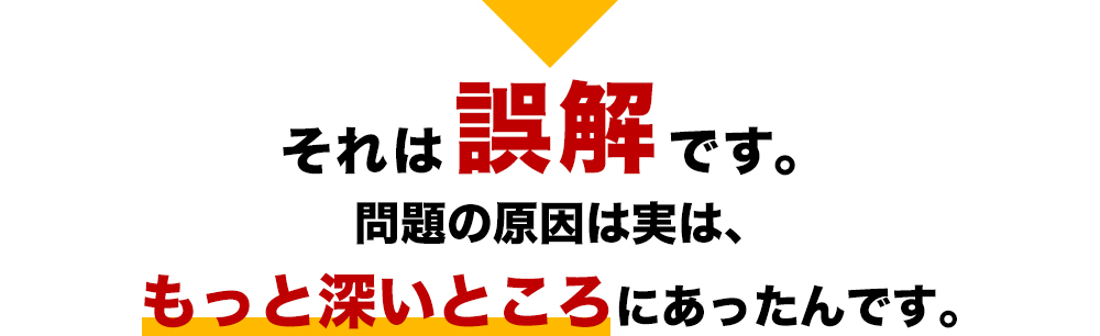 それは誤解です。問題の原因は実は、もっと深いところにあったんです。