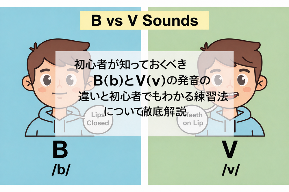 BとVの違いは、初心者にとって「わかるようでわからない」やっかいなポイントです。ただ、仕組みを一度きちんと理解し、正しい口の形と動かし方を身につければ、短期間で大きく変わります。この記事では、BとVの発音の基本を、口の動き・息・聞き分けの3つの側面から分解して解説し、独学でも取り組める具体的な練習方法まで丁寧に紹介します。