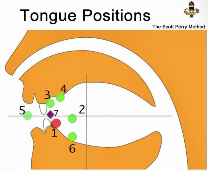 Native Soundsでは、 正しい口の形、舌の位置の組み合わせで、正しい発音に変え 「カタカナ脳」を矯正する画期的なメソッドです。