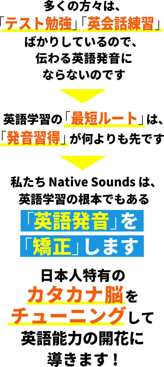 「カタカナ脳」を「矯正」します